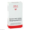 Carum carvi comp. Säuglingszäpfchen,10x1 g Carum carvi комп. Детские суппозитории,10x1 г