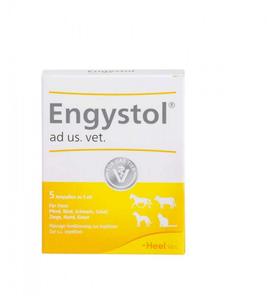 Engystol ad us.vet.Ampullen  Энгистол ампулы ветеринарные,5 шт