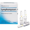 LYMPHOMYOSOT N Ampullen, ЛИМФОМИОЗОТ N, ампулы, 10 шт.