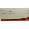 APIS EX ANIMALE GL D30,10x1 ml APIS EX ANIMALE GL D30,10x1 мл