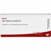 NUX VOMICA E SEMINE D 6,10x1 ml ВОМИКА ОРЕХОВАЯ ИЗ СЕМЕНИ Д 6,10x1 мл