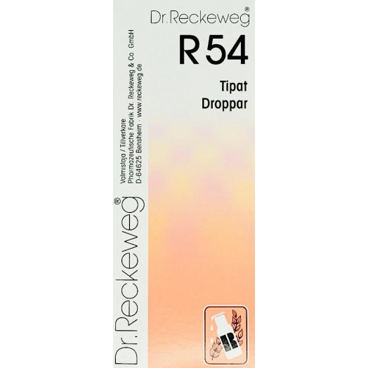 DR RECKEWEG R54 H387FIN 50 ml доктор Реккевег R54 ,гомеопатич.капли при плохой успеваемости у детей,50 мл